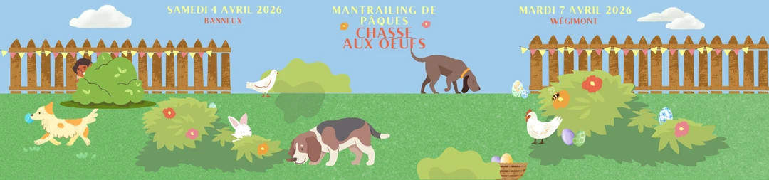 Bandeau illustratif responsive