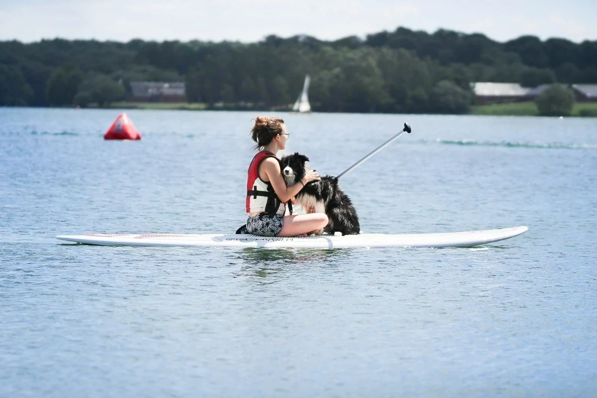 Faire du kayak ou du paddle avec son chien