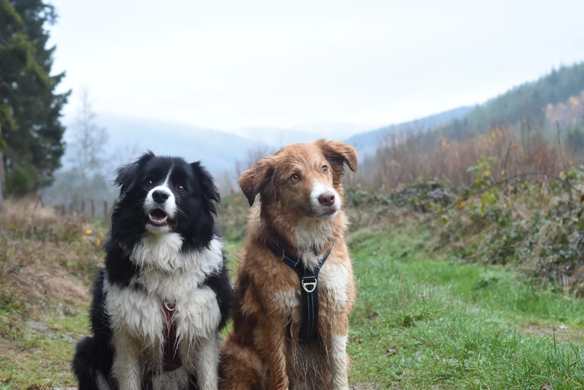 Randonnée à Trou de Bra en Ardenne belge