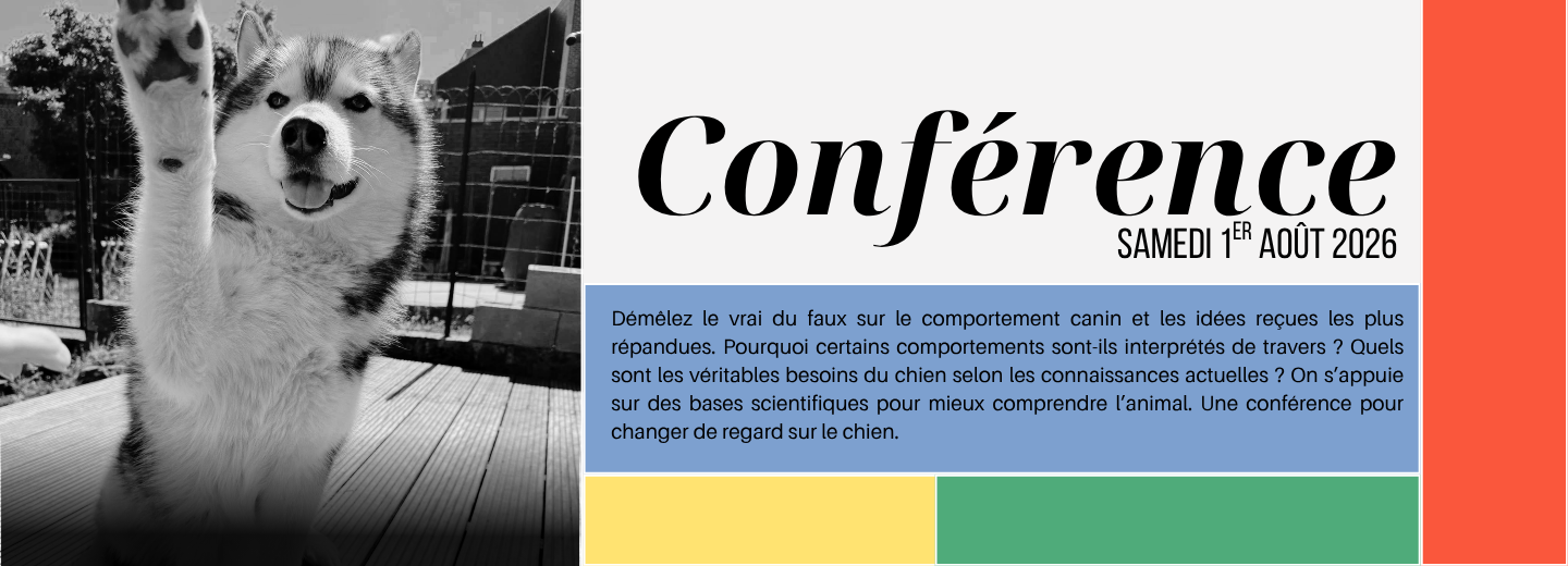 Le fonctionnement du chien