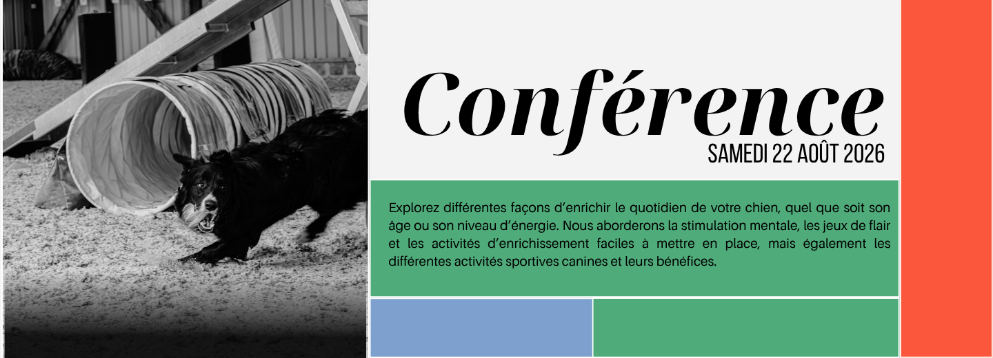 Activités et occupations canines