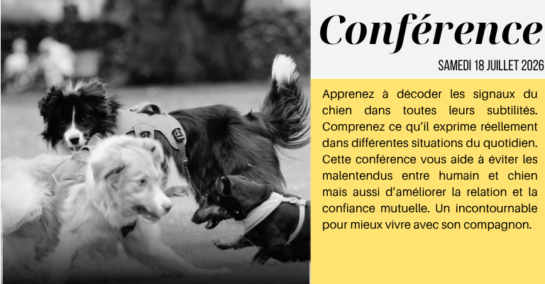 La communication canine