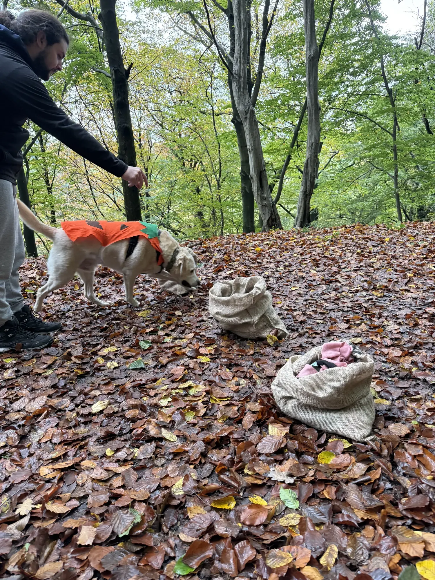 🐾 Rallye Canin Spécial Halloween 🎃