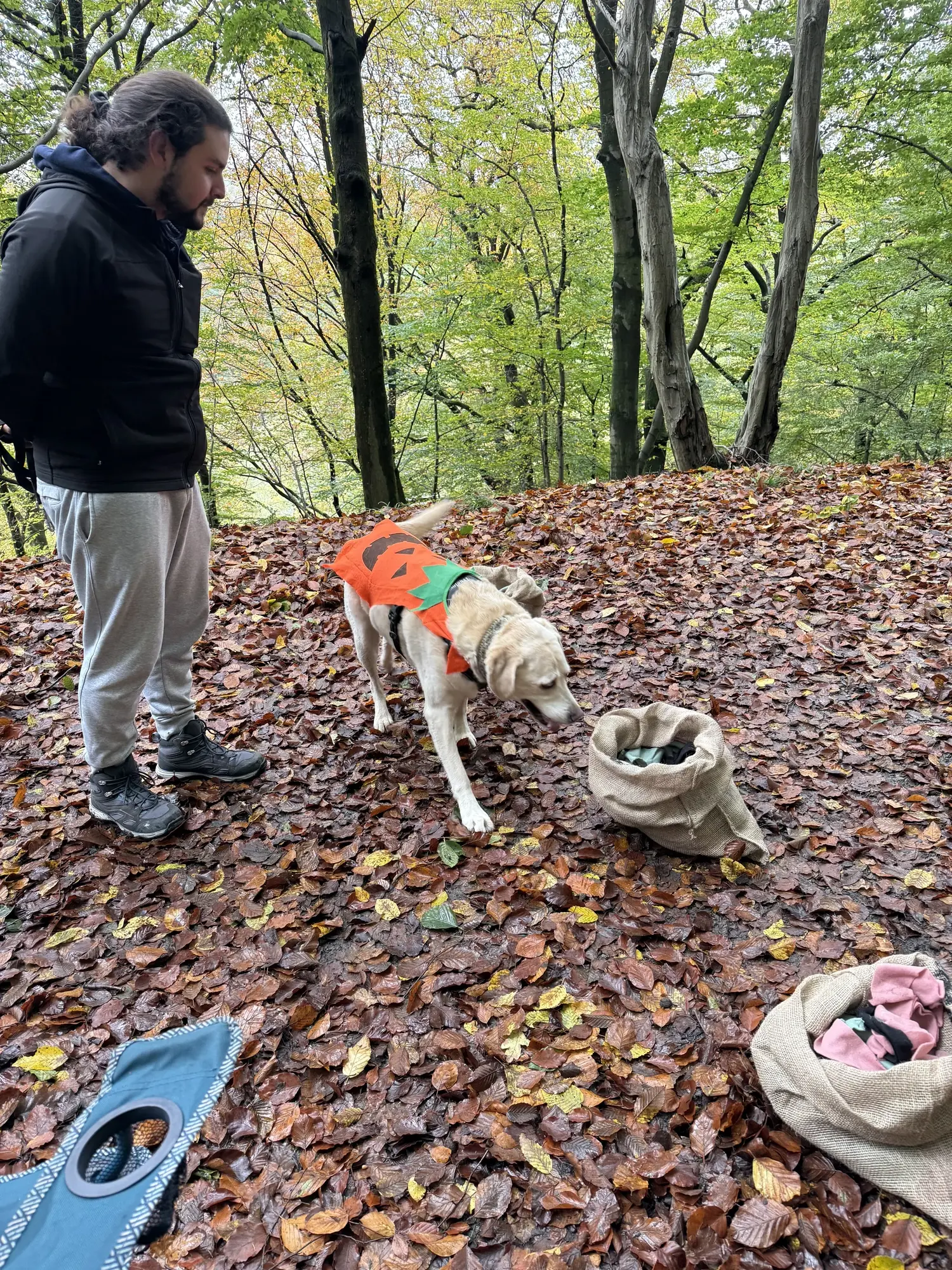 🐾 Rallye Canin Spécial Halloween 🎃