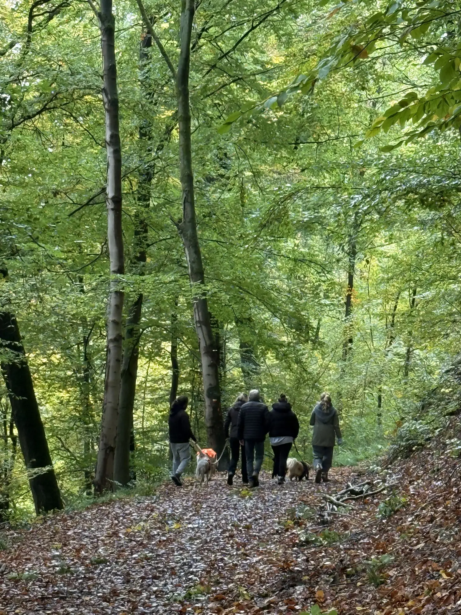 🐾 Rallye Canin Spécial Halloween 🎃