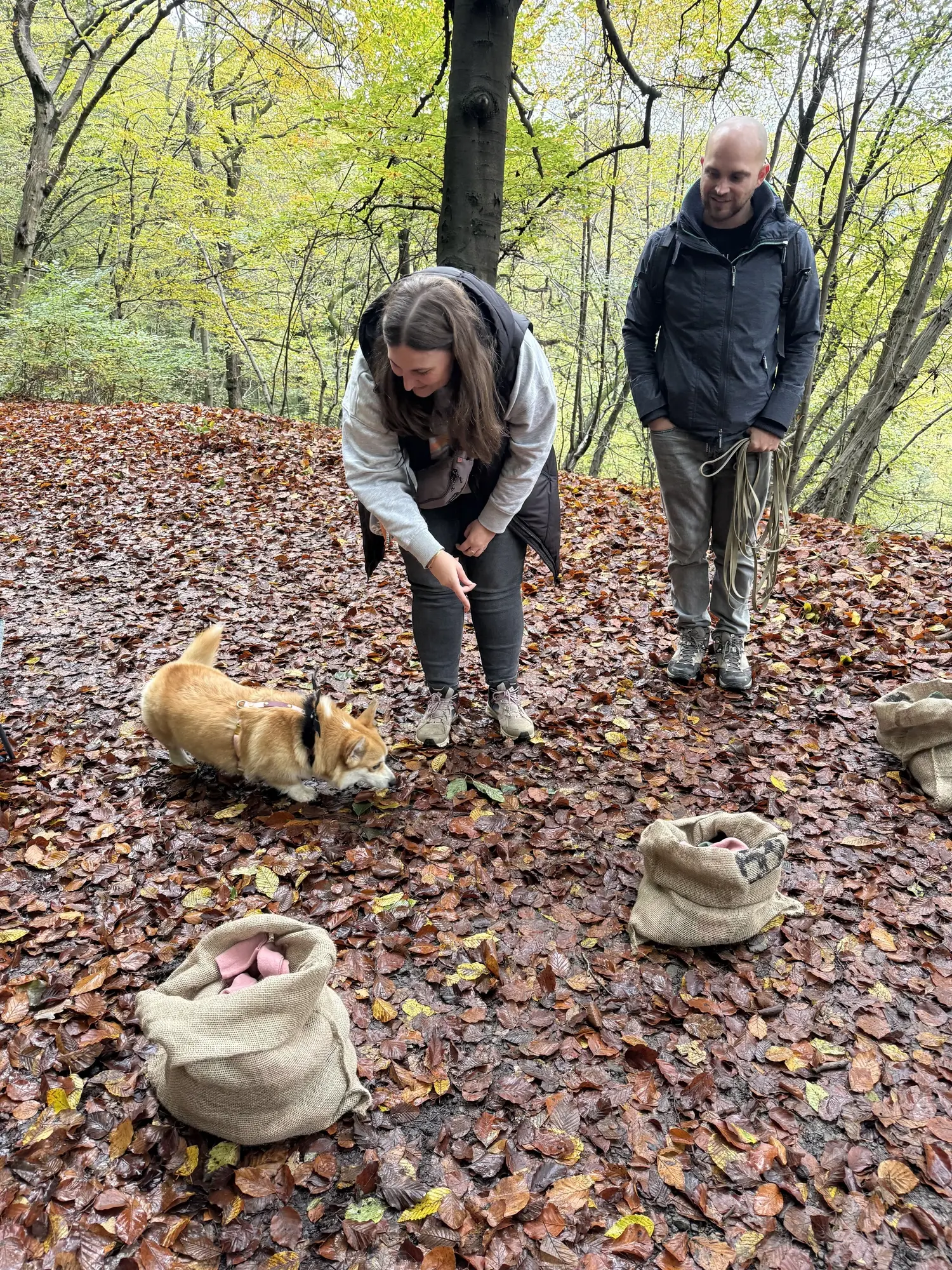 🐾 Rallye Canin Spécial Halloween 🎃
