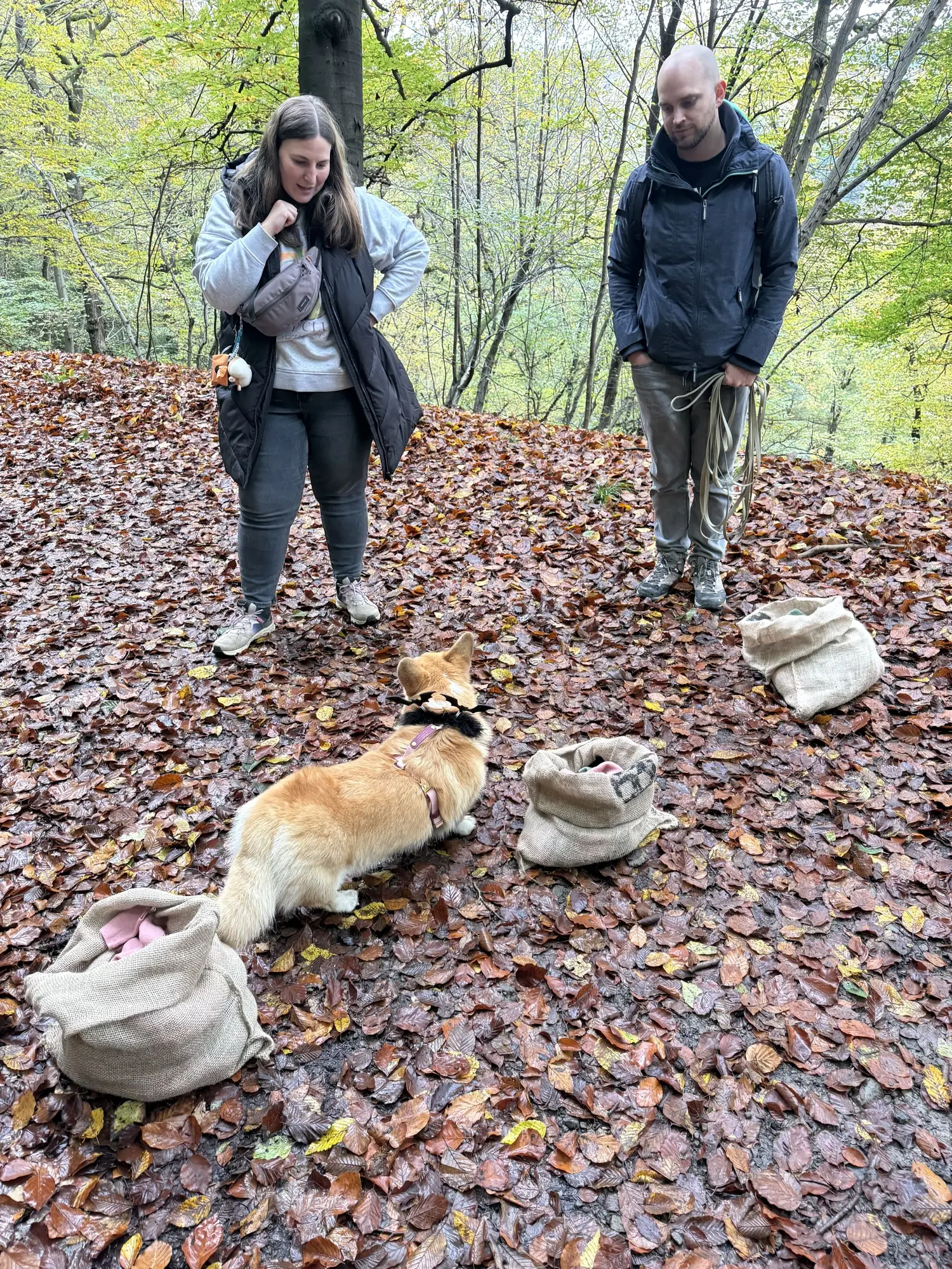 🐾 Rallye Canin Spécial Halloween 🎃