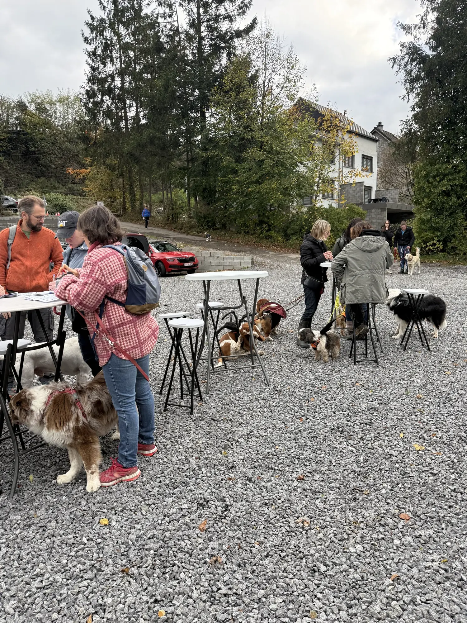 🐾 Rallye Canin Spécial Halloween 🎃