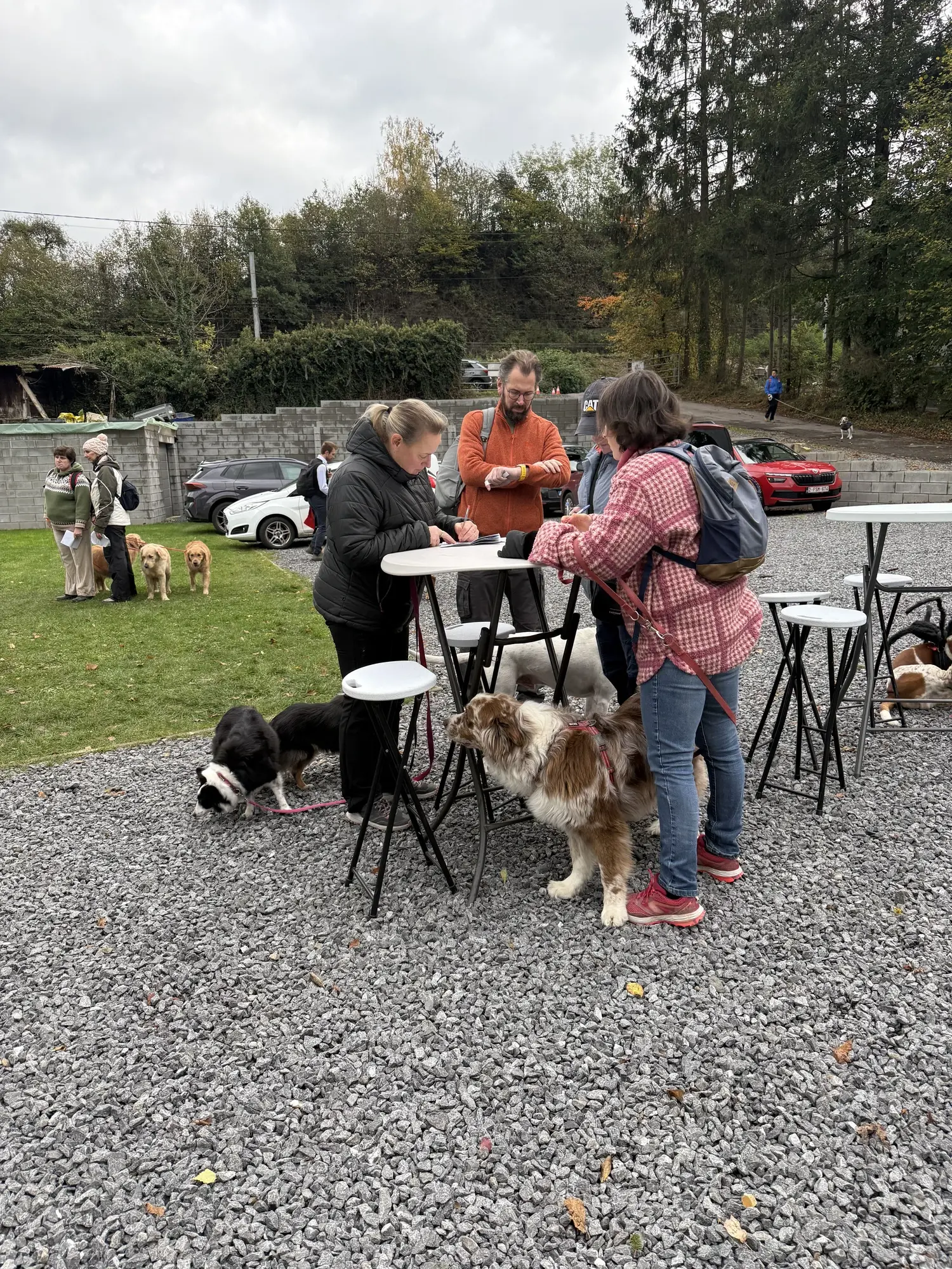 🐾 Rallye Canin Spécial Halloween 🎃