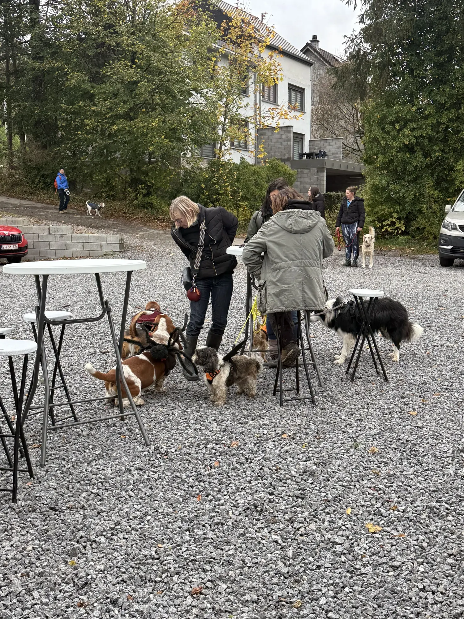 🐾 Rallye Canin Spécial Halloween 🎃
