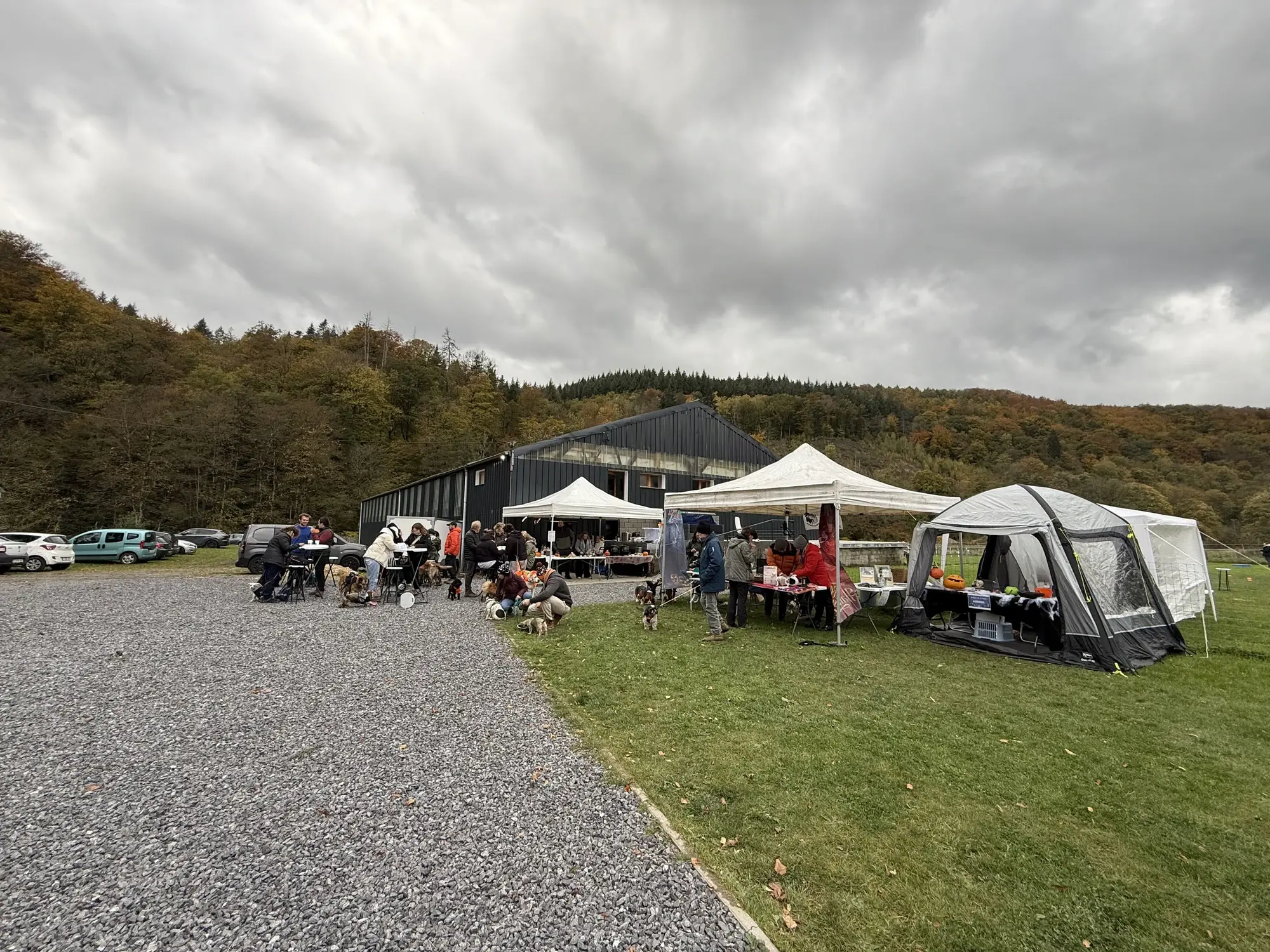 🐾 Rallye Canin Spécial Halloween 🎃