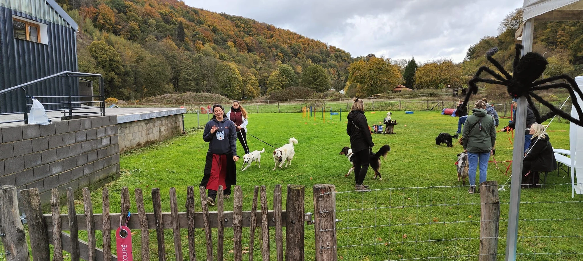 🐾 Rallye Canin Spécial Halloween 🎃
