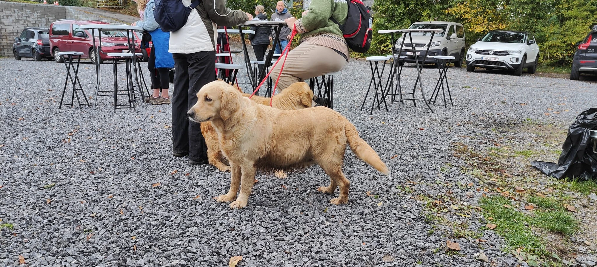 🐾 Rallye Canin Spécial Halloween 🎃