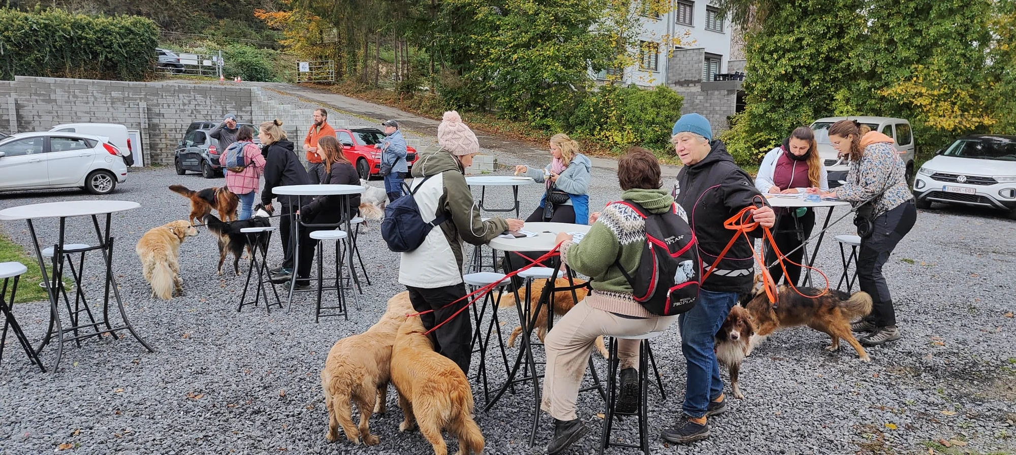 🐾 Rallye Canin Spécial Halloween 🎃