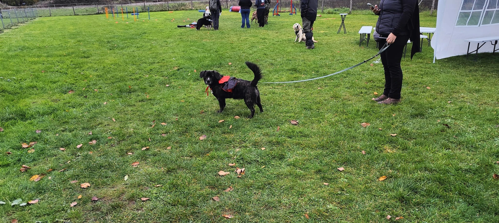 🐾 Rallye Canin Spécial Halloween 🎃