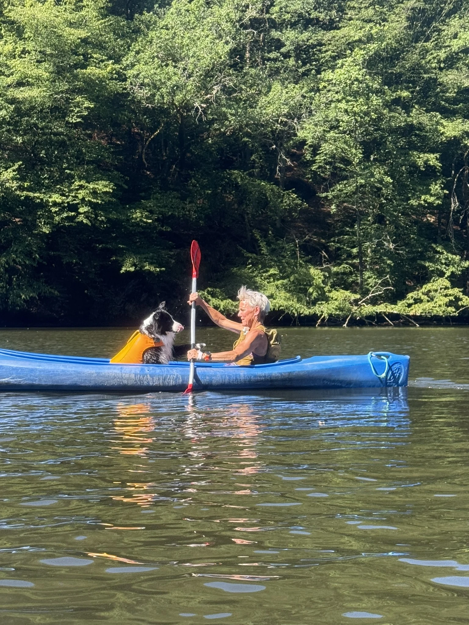 Journée kayak