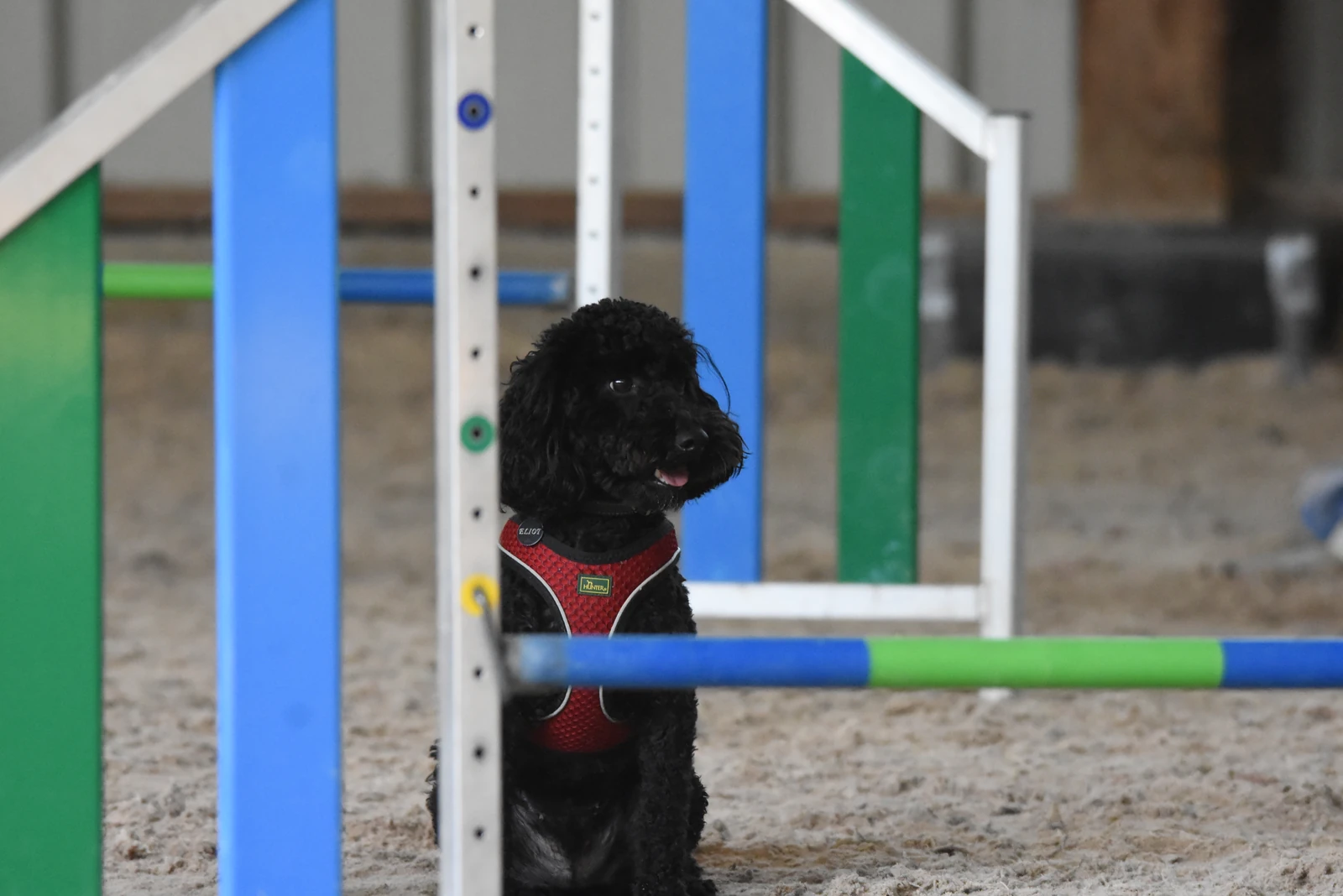 Agility