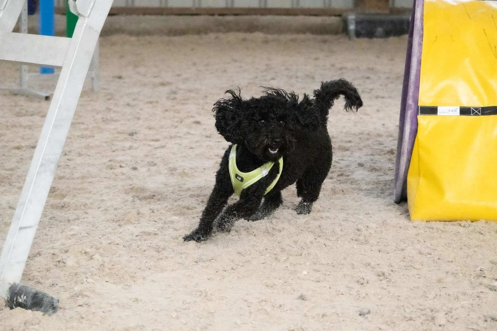 Agility